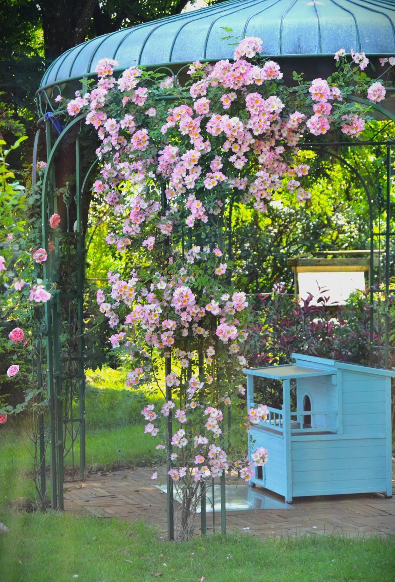 Bed and Breakfast Au Temps Suspendu Champagney Экстерьер фото